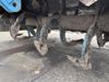 PictureAltAttribute - IMG-8409-JPG